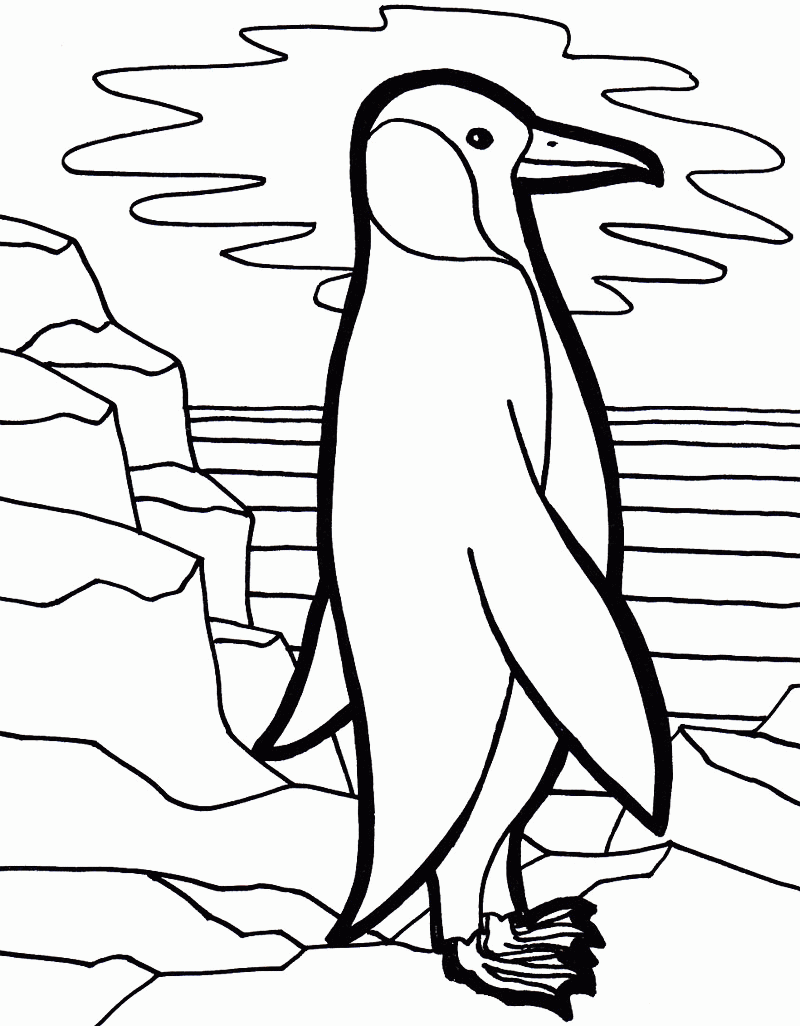 free penguin coloring page | Only Coloring Pages