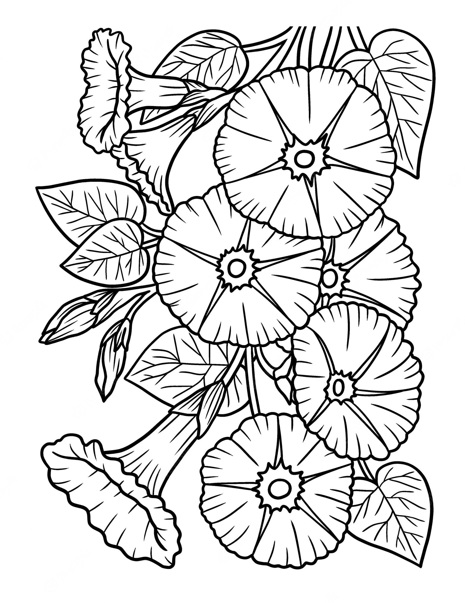 Premium Vector | Morning glory flower coloring page for adults