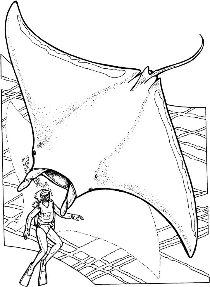 Manta Ray and Scuba Diver Coloring Page - Free Printable Coloring Pages for  Kids