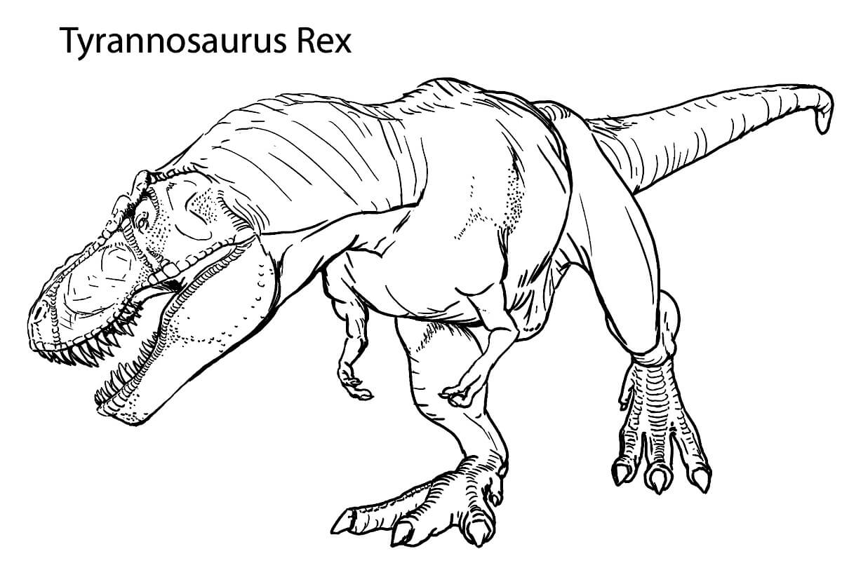 11 Tyrannosaurus Rex (T Rex) Coloring Pages for All Ages - Happier Human