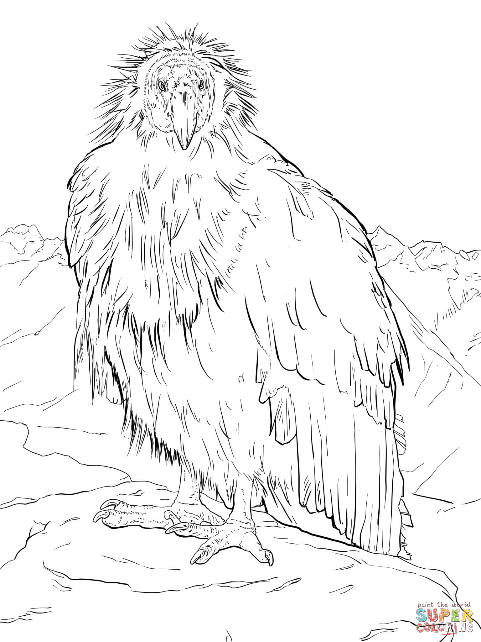 California Condor Takes a Break at the Grand Canyon coloring page | Free  Printable Coloring Pages