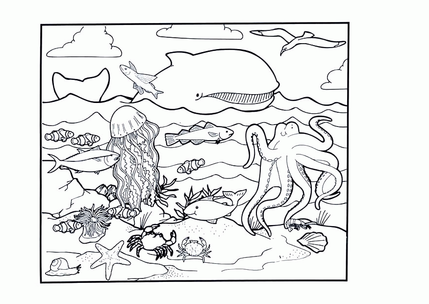 Free Printable Ocean Coloring Page - Coloring pages