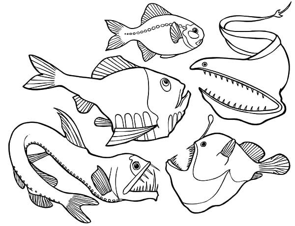 Pin on deep sea fish outlines