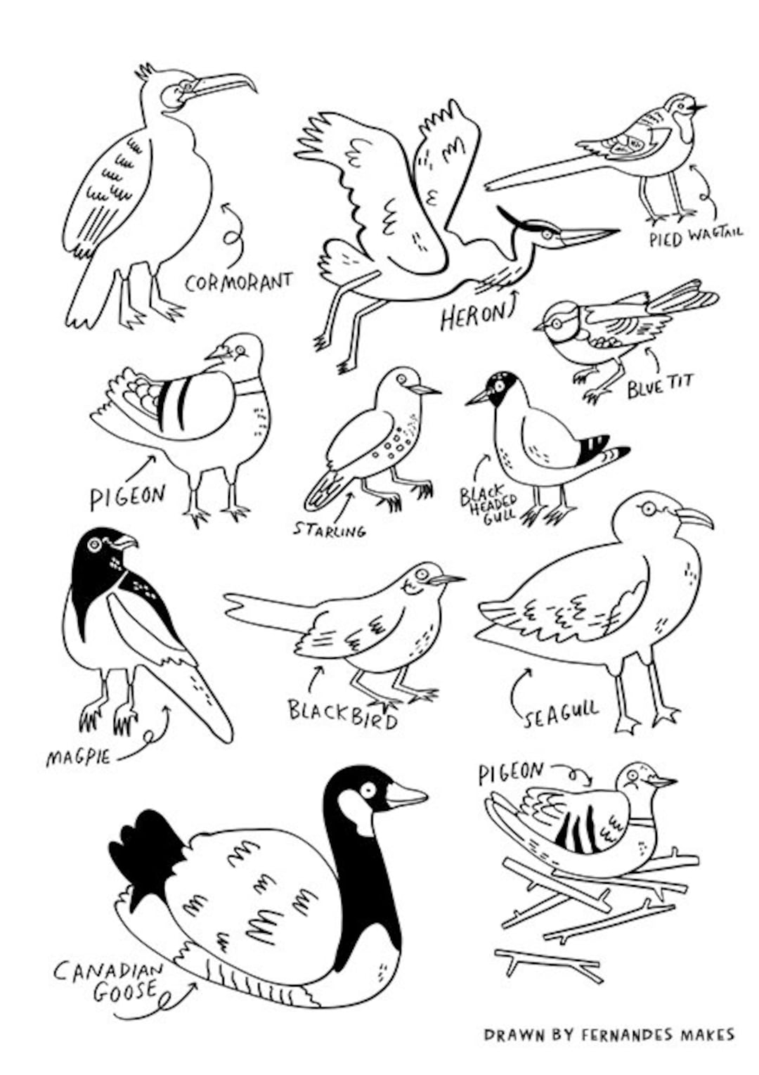Printable Water Birds Colouring Sheet Seagull Pigeon Bird - Etsy