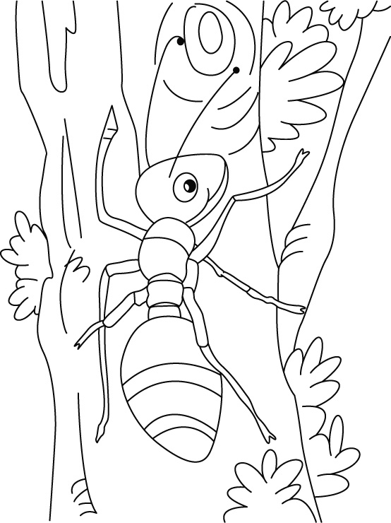Ant-climbing art coloring pages | Download Free Ant-climbing art coloring  pages for kids | Best Coloring Pages
