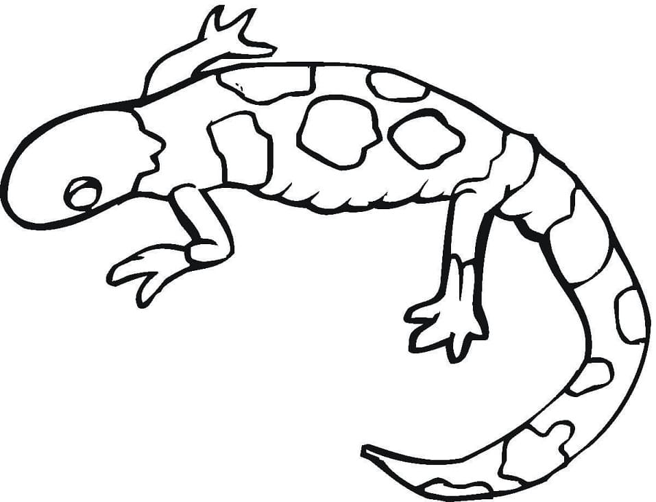 Free Gecko Coloring Page - Free Printable Coloring Pages for Kids