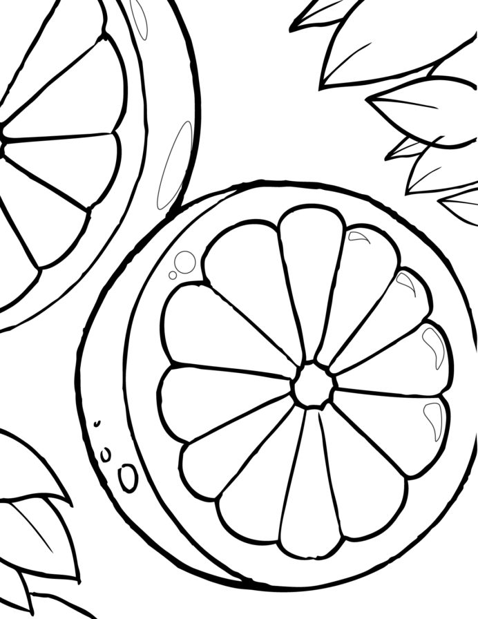 The Best Free Blood Coloring Images From To Mockingbird Worksheets ...