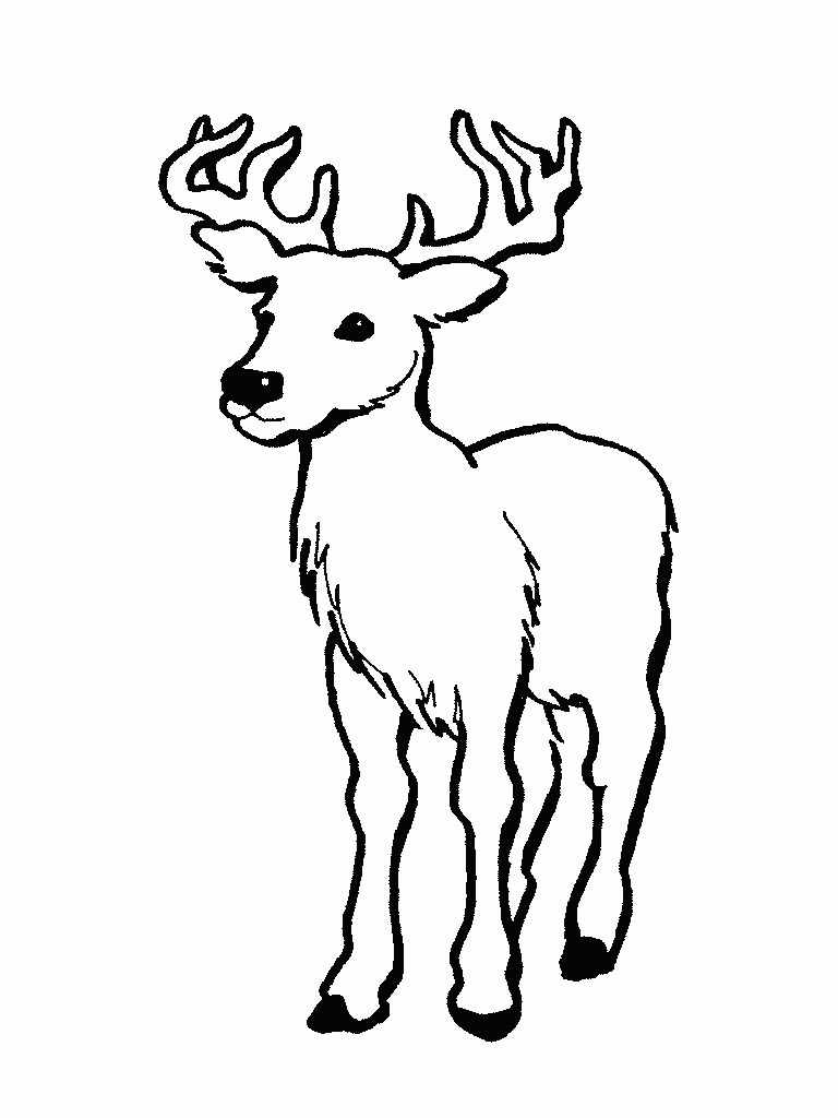 Printable Deer Coloring Pages | Coloring Me