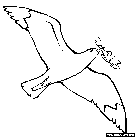 100% Free Bird Coloring Pages. Color in this picture of a Flying Seagull  and others with our library o… | Bird coloring pages, Online coloring pages,  Coloring pages