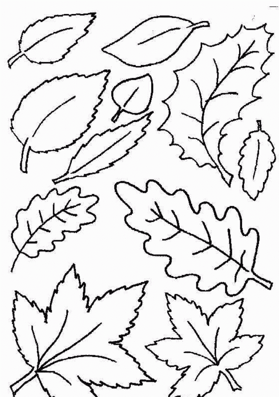 Autumn Coloring Pages For Toddlers Leaf Coloring Pages For ...