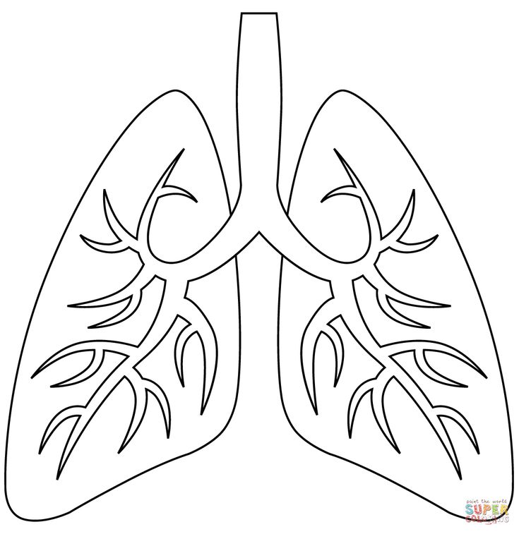 Lungs coloring page | Free Printable Coloring Pages in 2023 | Free  printable coloring pages, Coloring pages, Heart coloring pages