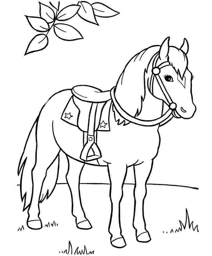 printable coloring sheets horses running arabian horse coloring ...