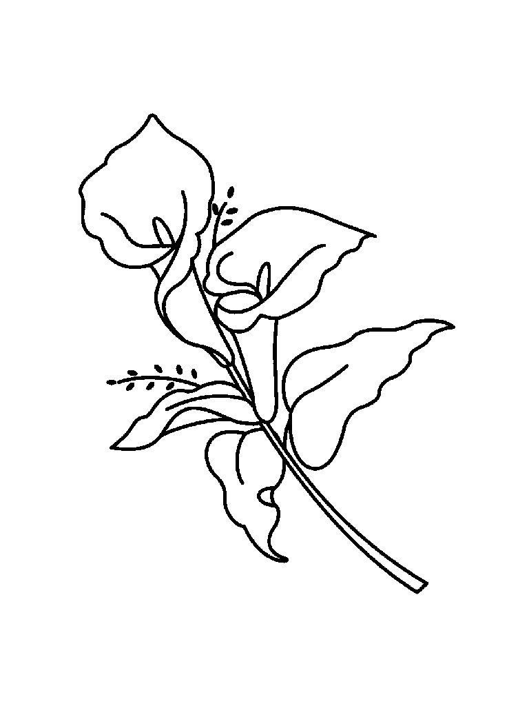The Old Educator's Easter Lily Coloring Page - ClipArt Best - ClipArt Best