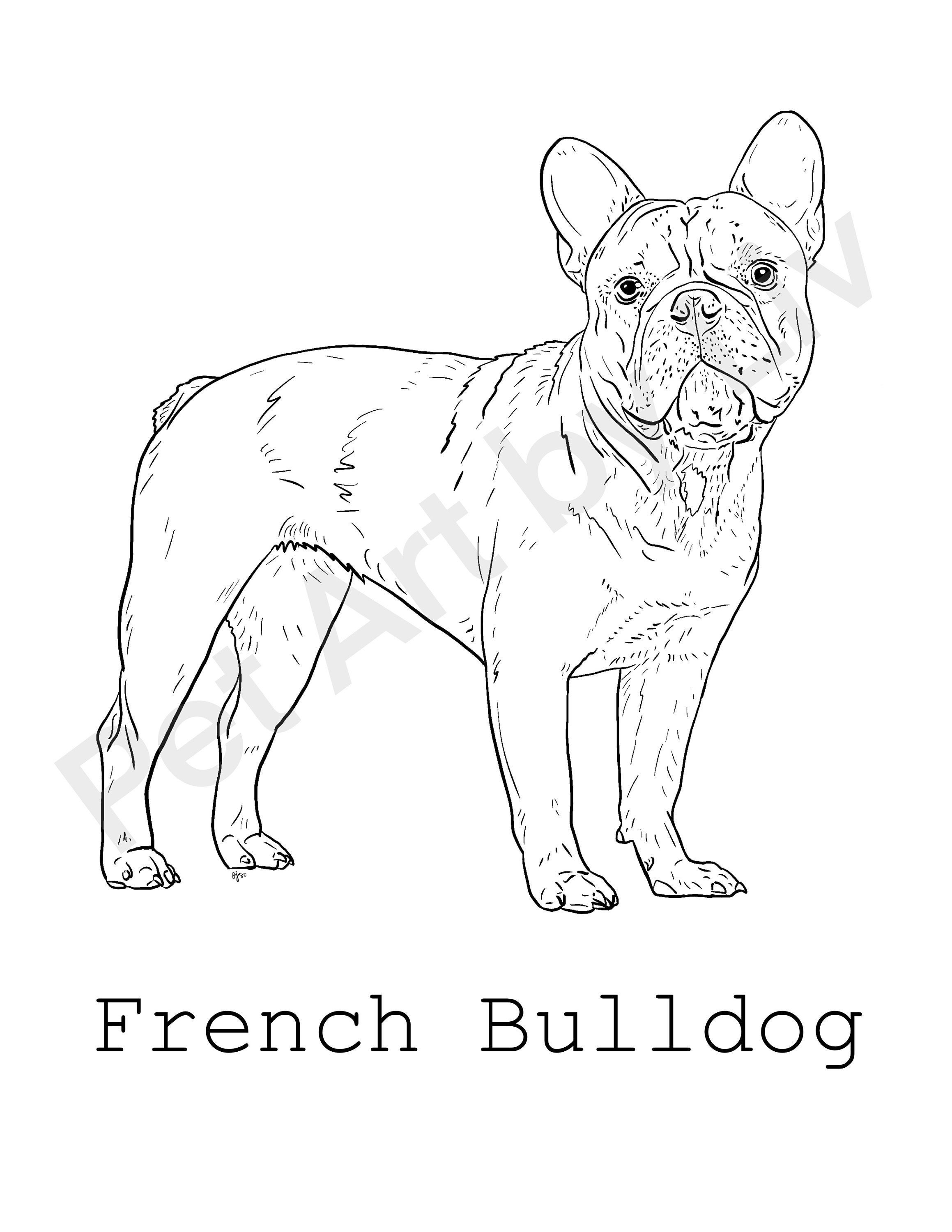 French Bulldog Coloring Page - Etsy