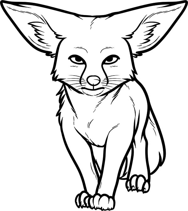 Desert Fox Staring Coloring Pages - NetArt in 2020 | Fox coloring page,  Animal coloring pages, Fox sketch