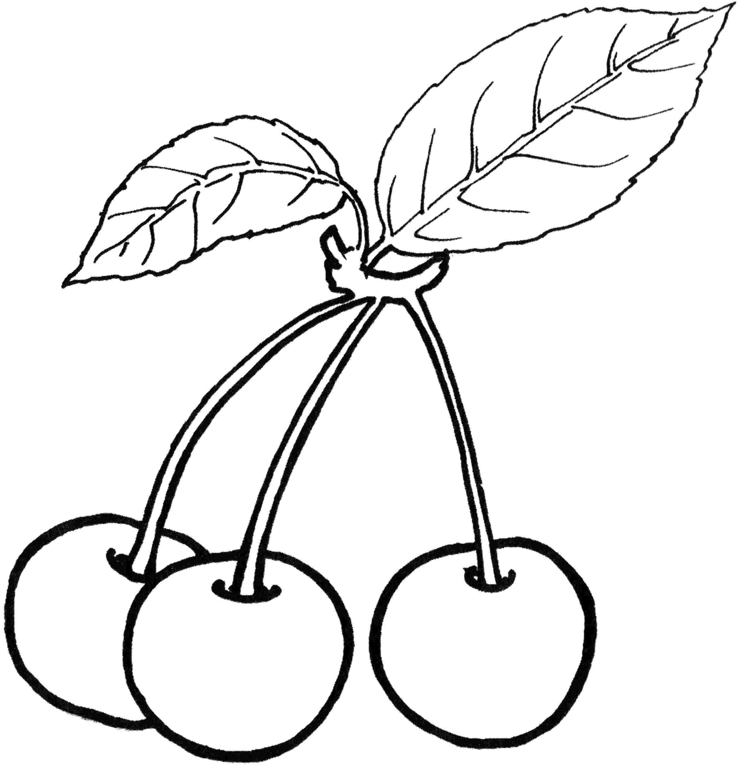 Fruit Coloring Pages - Koloringpages