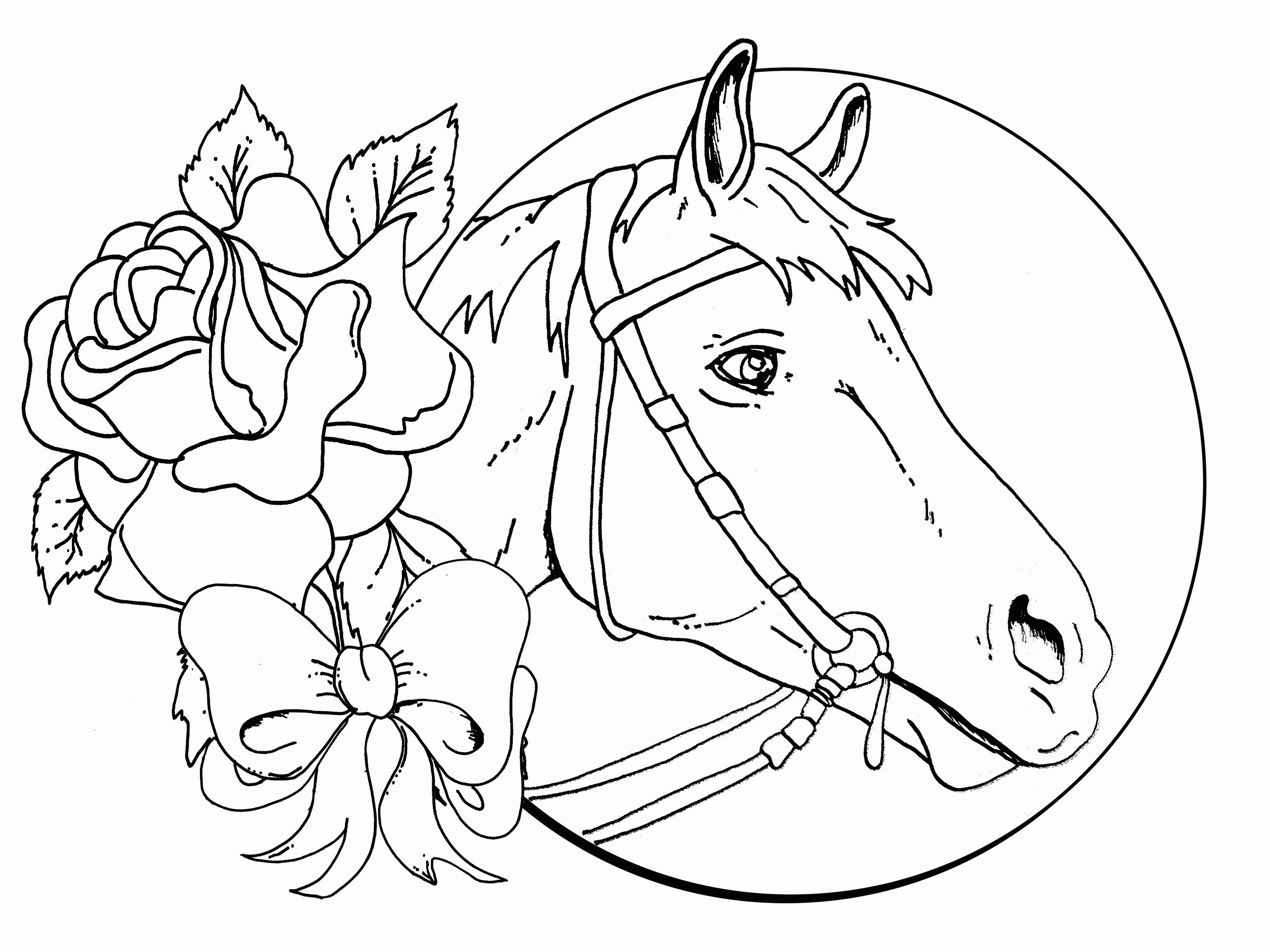 wild horse. free printable horse coloring pages girls coloring ...