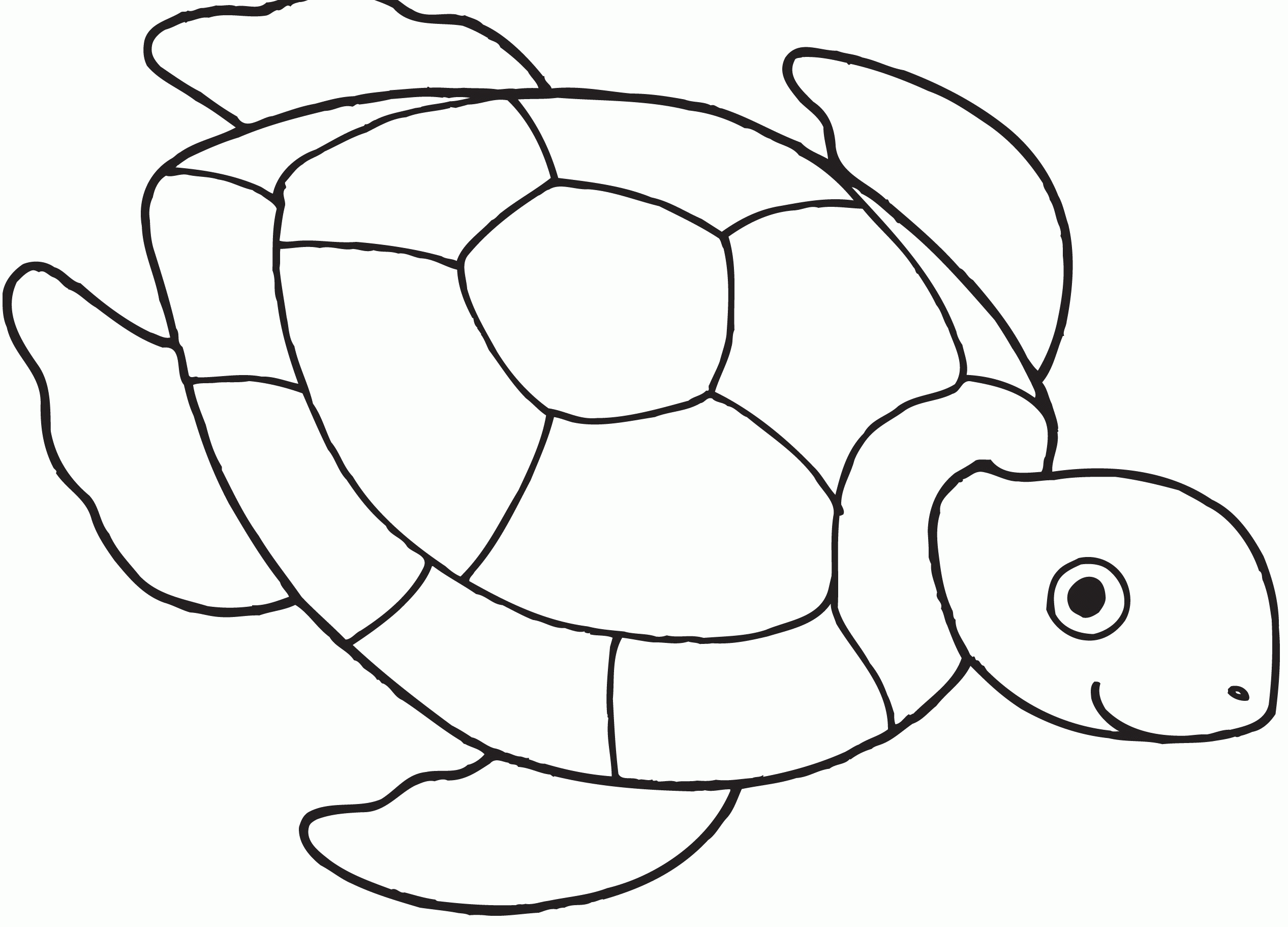 Turtle Coloring Page Coloring Book Coloring Pages 22910 ...