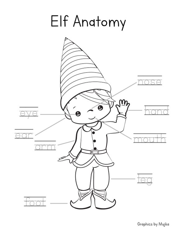 Elf Anatomy Christmas Coloring Page Body Parts Worksheet | Etsy
