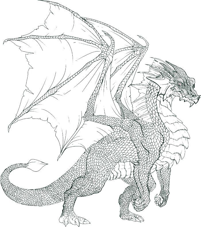 Dragon Coloring Pages Printable | Dragon coloring page, Coloring pages, Realistic  dragon