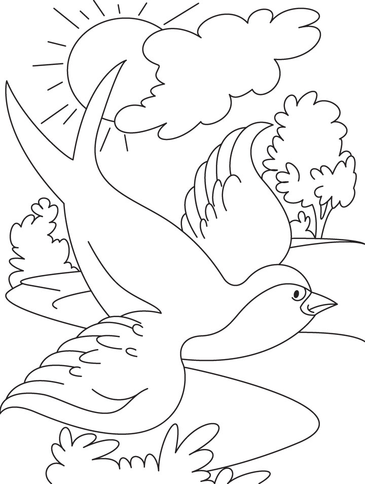Flying Swallow Bird Coloring Page - Get Coloring Pages