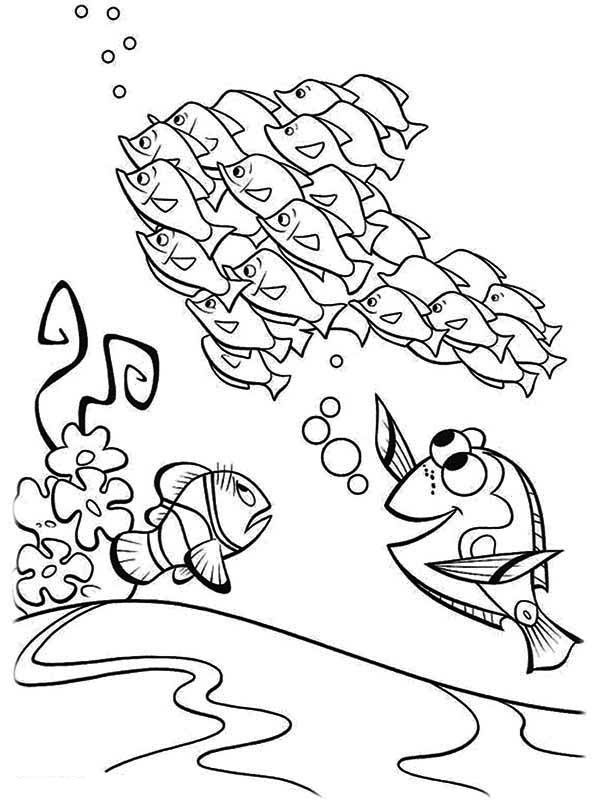 Dory and Marlin Meet a Bunch of Fish in Finding Nemo Coloring Page ...