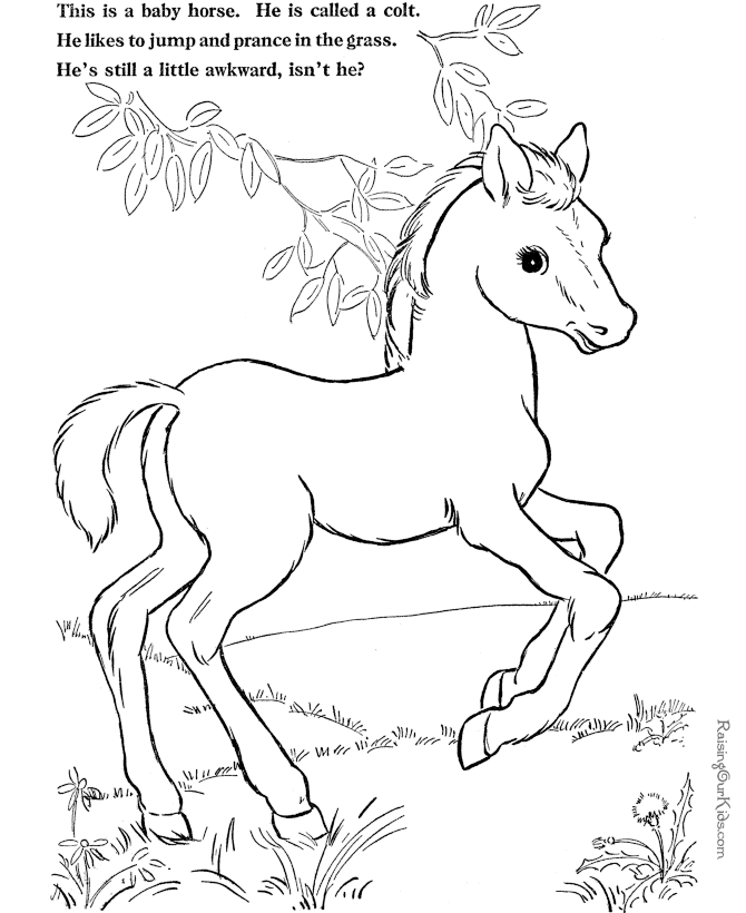 Farm Animal Coloring Pages!