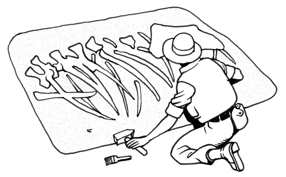paleontologist coloring page - Clip Art Library
