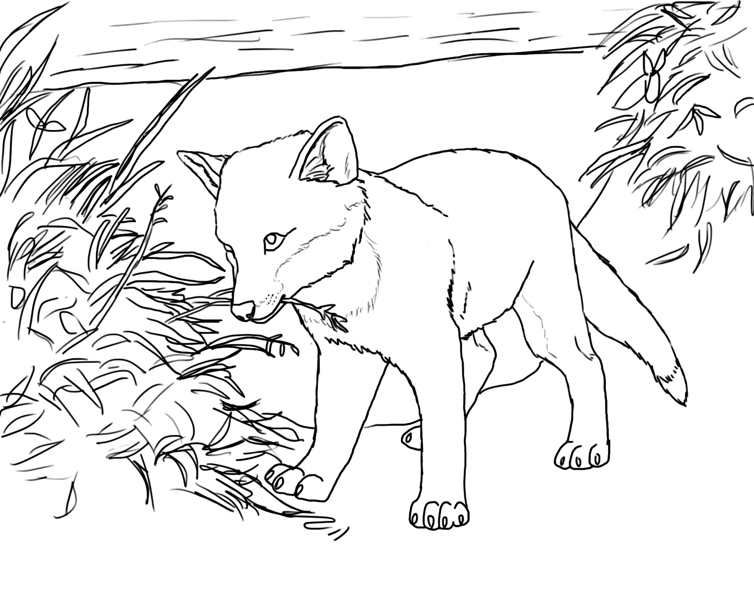 Fox Coloring Pages Free