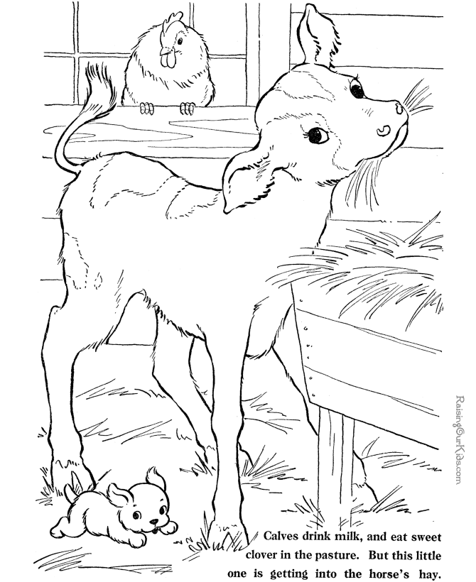 Printable Farm Animal Coloring Sheets 028