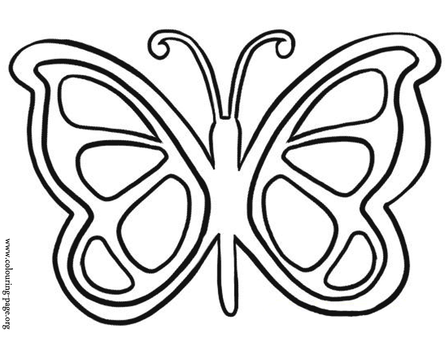 Butterflies - A charming butterfly coloring page