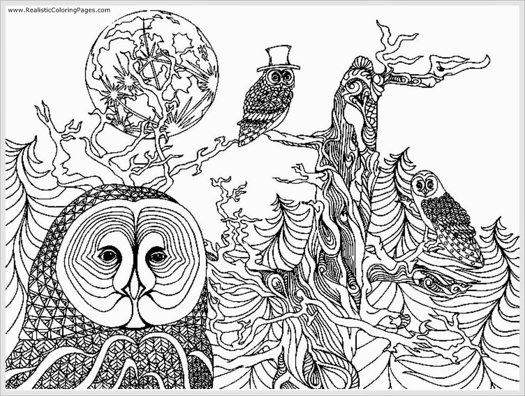 Owl Adult Free Printable Coloring Pages Realistic 16125 ...