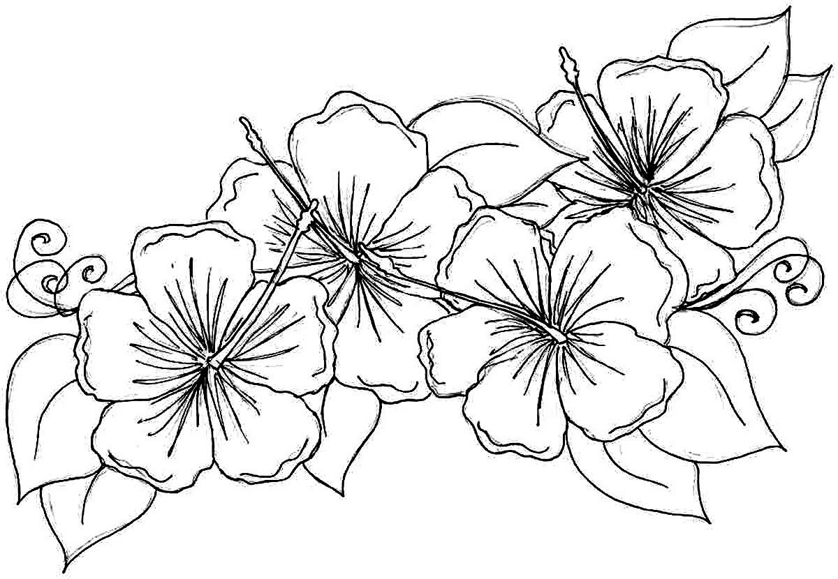 Free Printable Hawaiian Flowers - High Resolution Printable