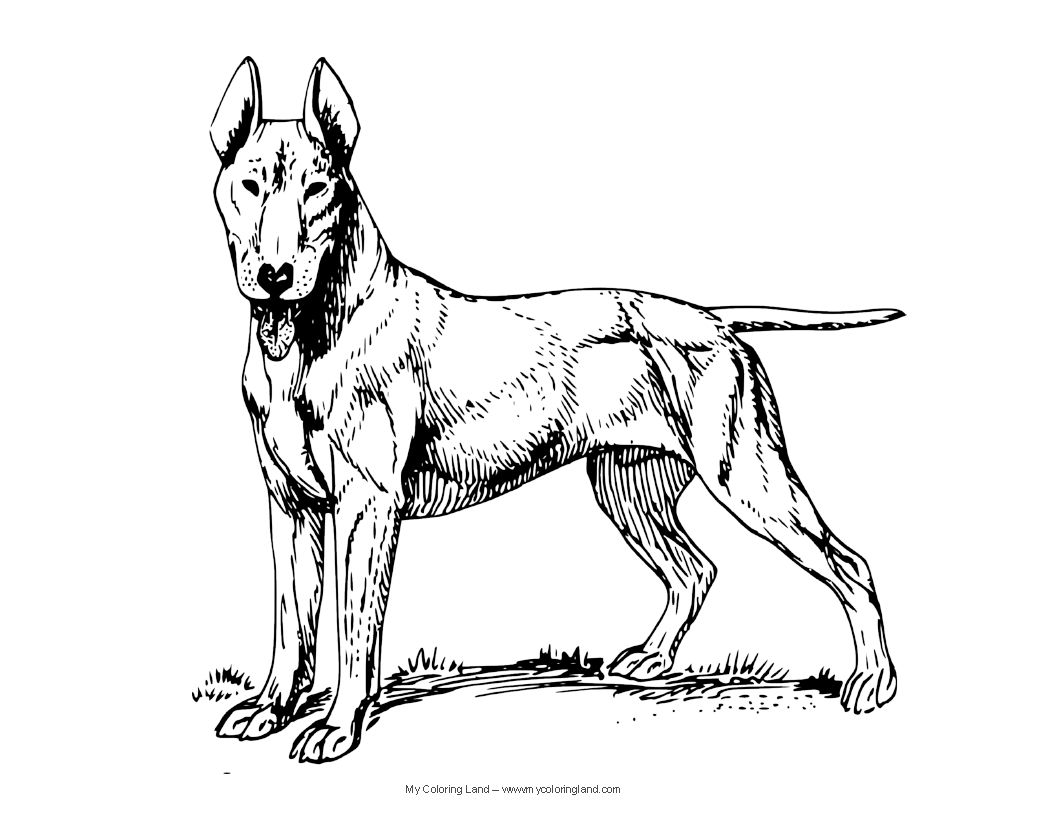 Real Looking Dog Coloring Pages | Cooloring.com