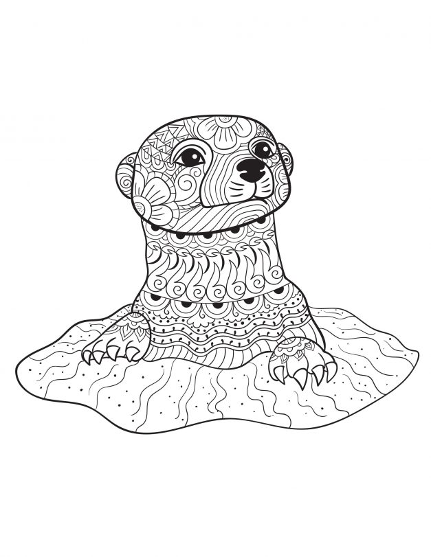 coloring : Animal Coloring Pages Pdf Wild Animal Coloring Pages Pdf‚ Farm Animals  Colouring Pages Pdf‚ Baby Animal Coloring Pages Free Pdf or colorings