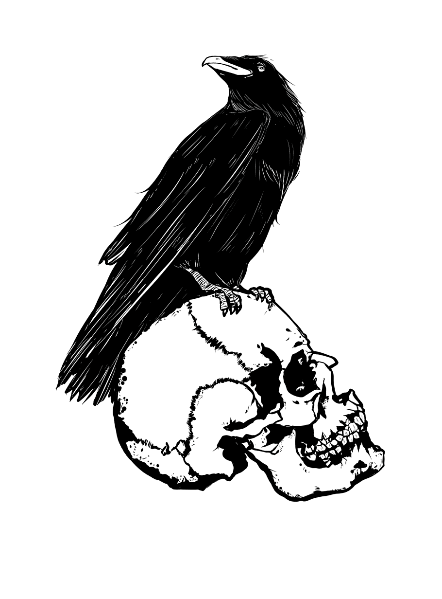 Raven Drawing Bird Anime Monochrome, crow PNG | PNGWave