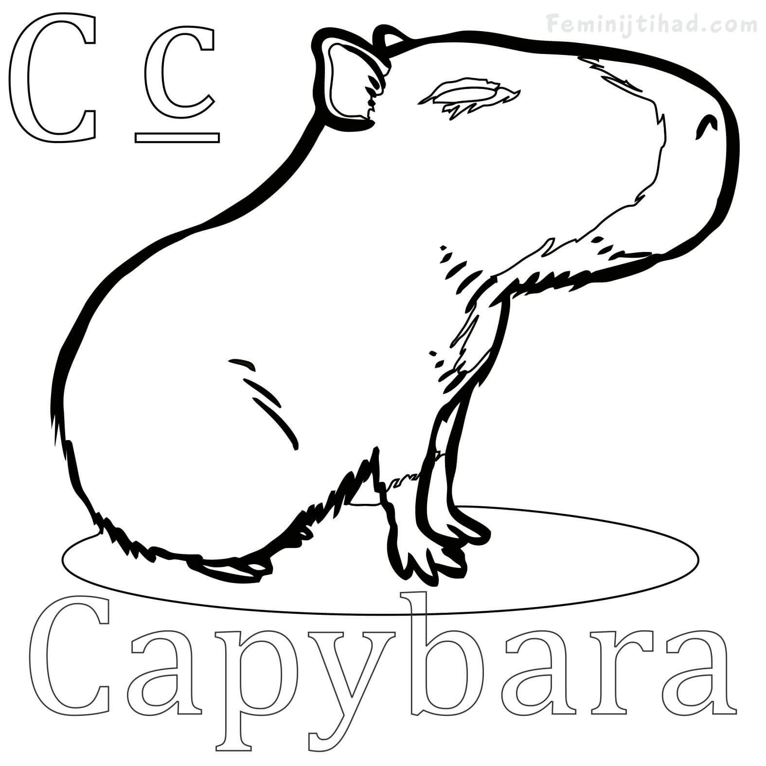 Easy Capybara Coloring Pages PDF - Coloringfolder.com | Animal coloring  pages, Capybara, Coloring pages