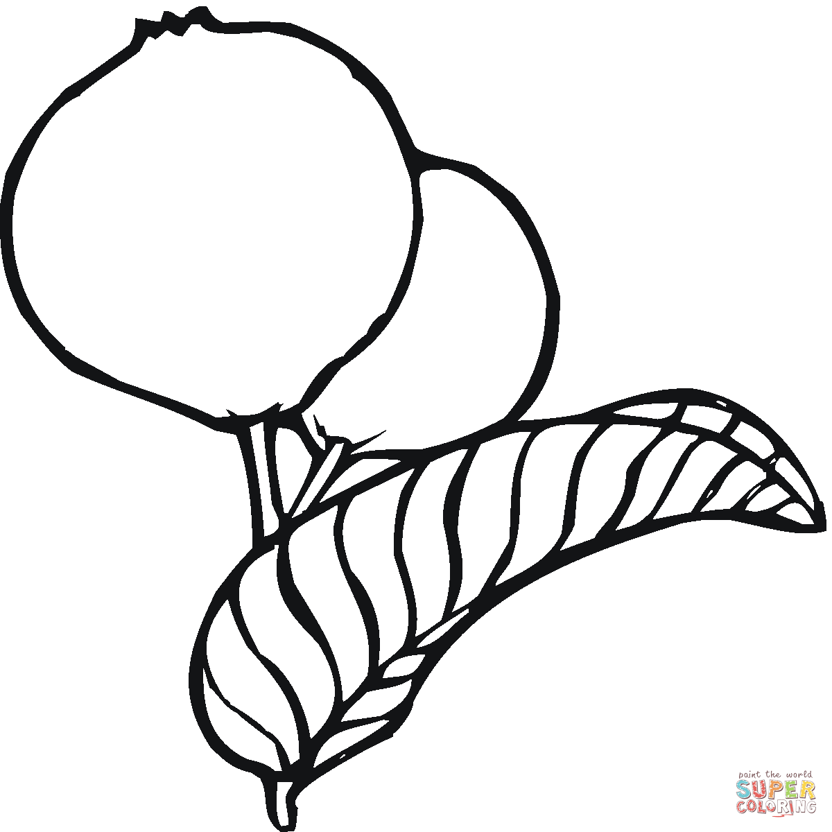 Guavas coloring pages | Free Coloring Pages