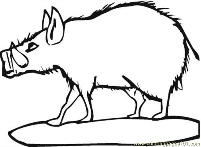 Wild Boar 2 Coloring Page Coloring Page for Kids - Free The Wild Printable Coloring  Pages Online for Kids - ColoringPages101.com | Coloring Pages for Kids