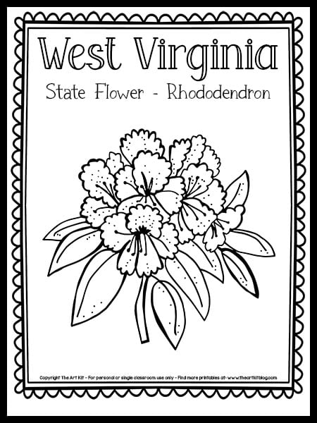 West Virginia State Flower Coloring Page (Rhododendron!) {FREE Printable!}  - The Art Kit