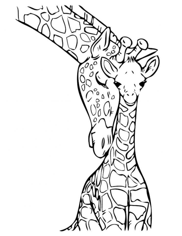 Get This Giraffe Coloring Pages Realistic Animals 31794 !