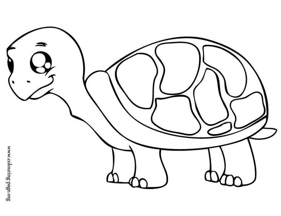Cute Baby Turtle Drawing Images & Pictures - Becuo