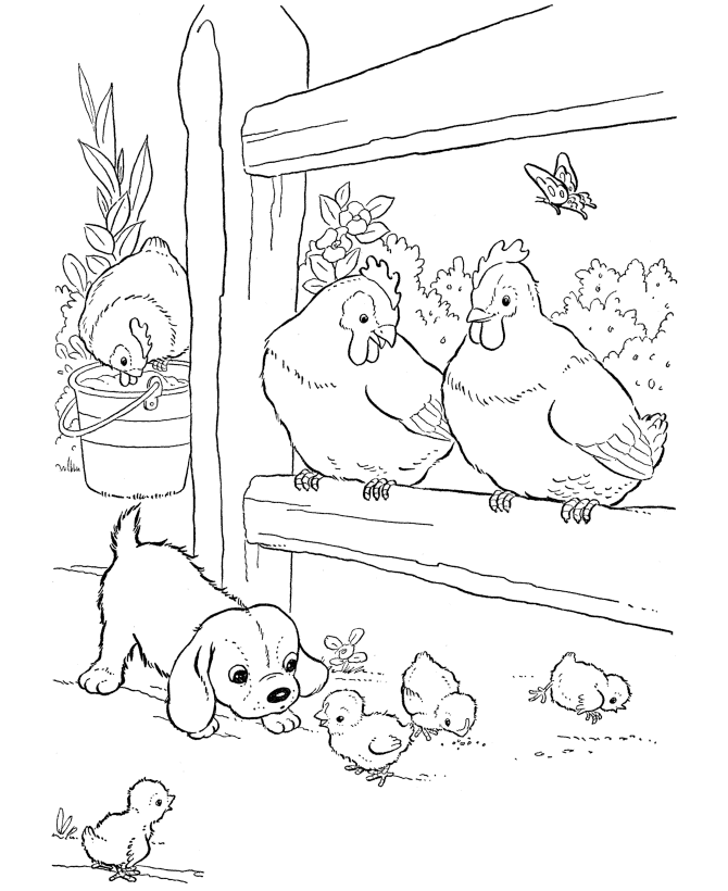 Farm Animal Coloring Pages | Printable Chickens Coloring Page Baby ...