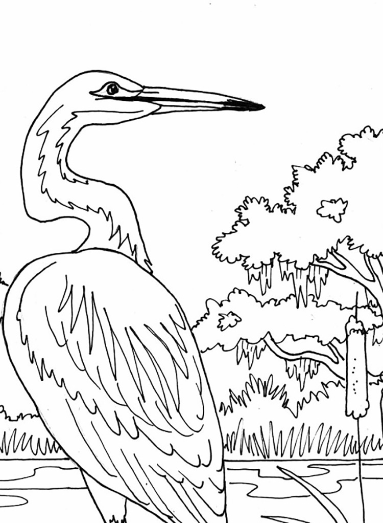 Heron Coloring Pages - Best Coloring Pages For Kids