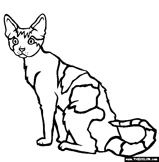 Top Rated Coloring Pages