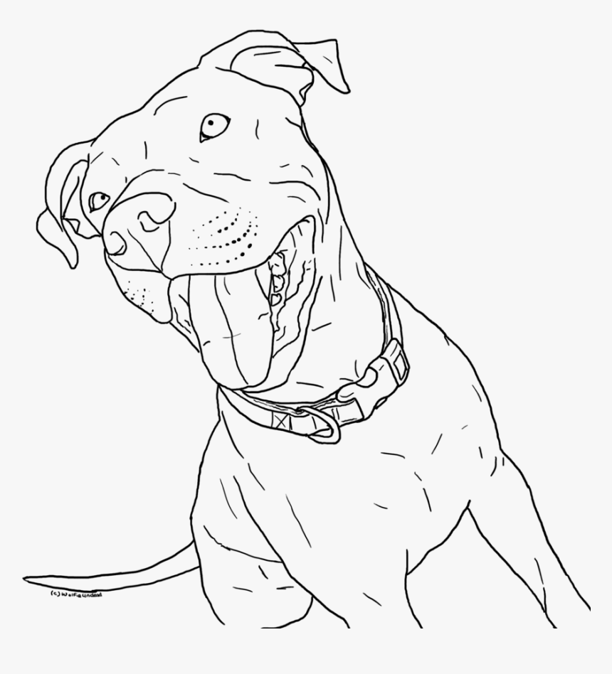 Pitbull Coloring Pages Little Coloring Page Pitbull - Realistic Pitbull  Coloring Pages, HD Png Download - kindpng