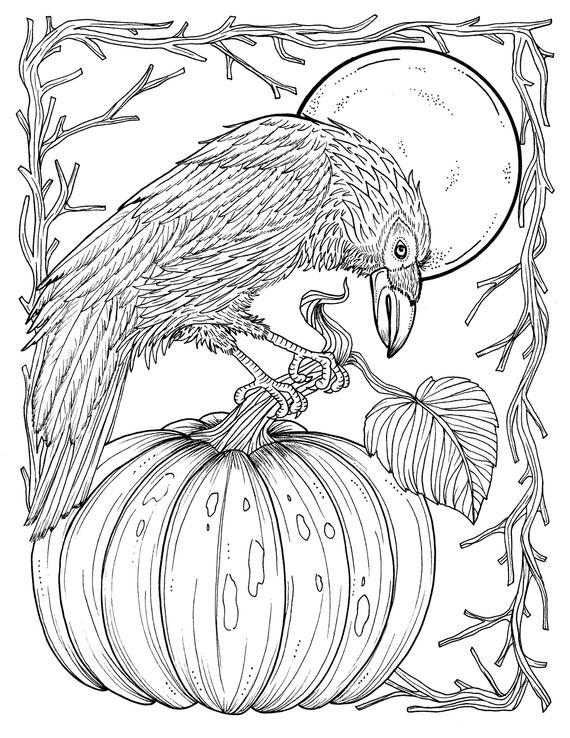 Fall Crow Digital Coloring page Thanksgiving harvest Adult | Etsy