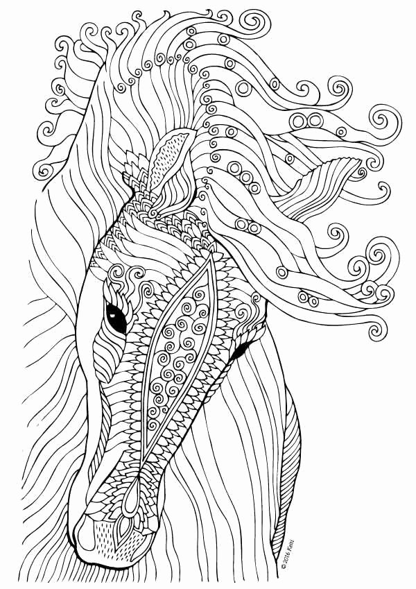 Horses Coloring Pages for Adults Unique Santa Cruz Beach Boardwalk Coloring  Pages | Meriwer Coloring