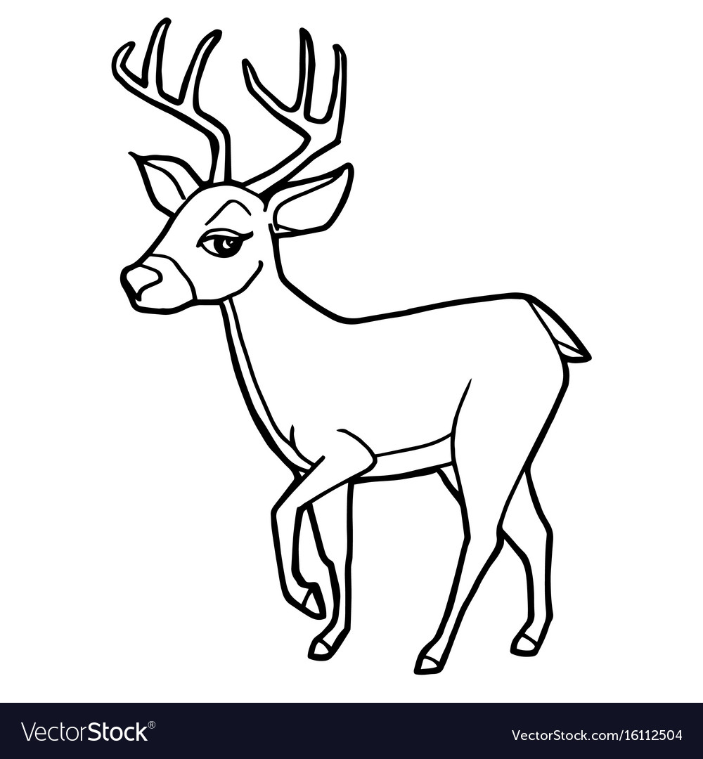 Cartoon Deer Coloring Pages