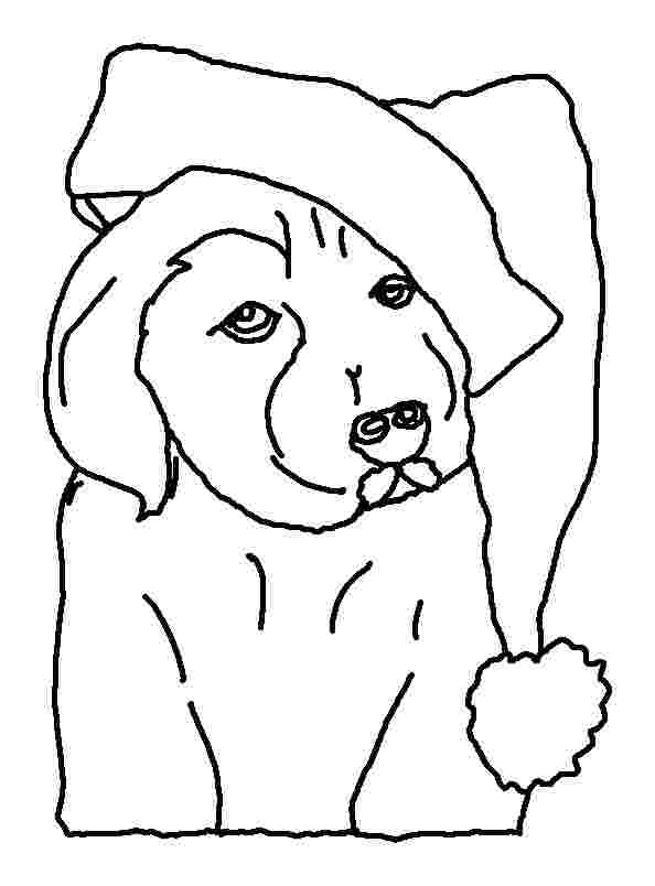 Coloring Pages Puppy Collection - Whitesbelfast